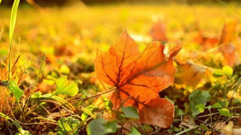 Вже зовсім скоро в Україні потеплішає