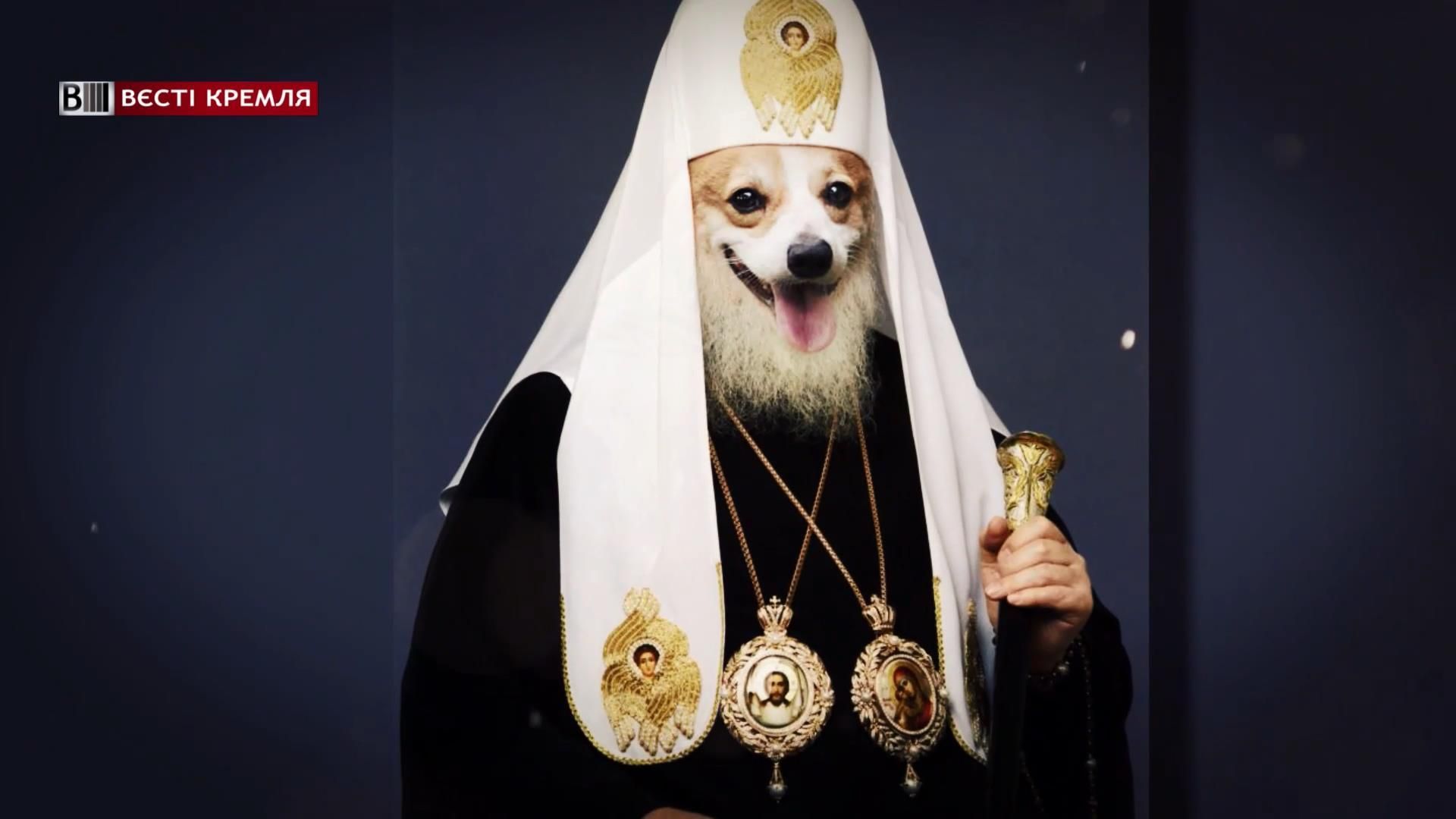 Собаки российских чиновников: кто будет жить в митрополичьих палатах Собаки российских чиновников: кто будет жить в митрополичьих палатах