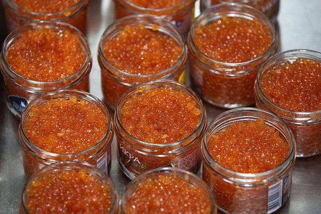 Росіянка-контрабандистка спробувала з'їсти 10 кілограм ікри Росіянка-контрабандистка спробувала з'їсти 10 кілограм ікри