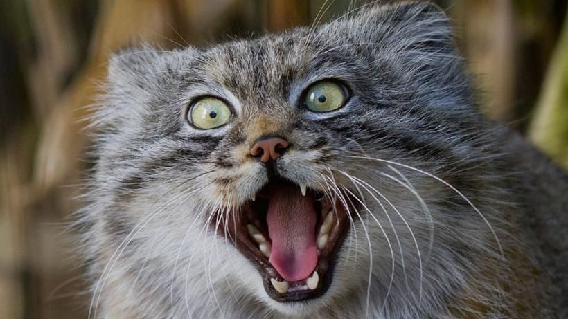 В Україну йде потепління - 19 жовтня 2016 - Телеканал новин 24 В Україну йде потепління - 19 жовтня 2016 - Телеканал новин 24