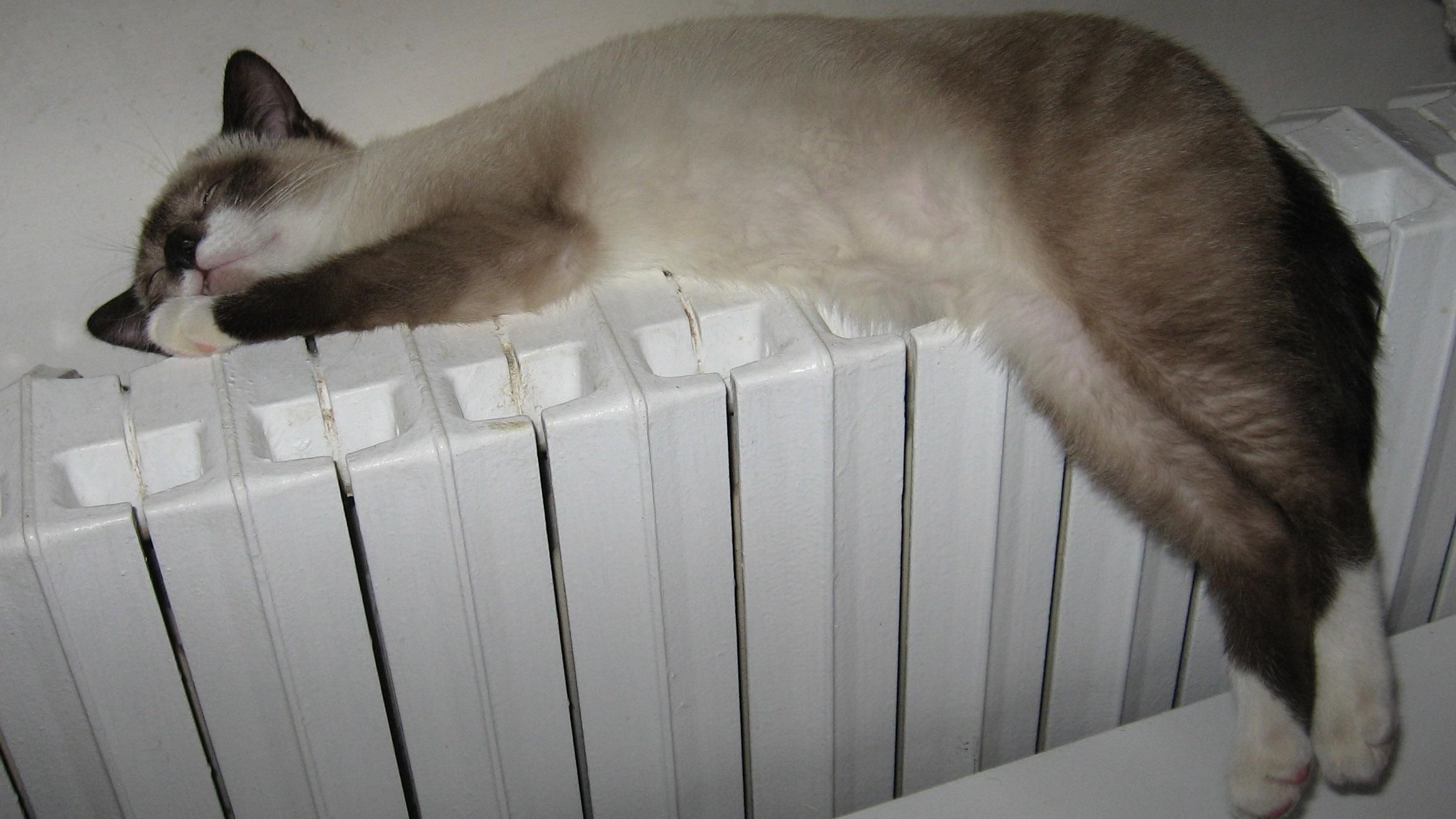 "Киевэнерго" "забыло" вернуть счетчик "Киевэнерго" "забыло" вернуть счетчик