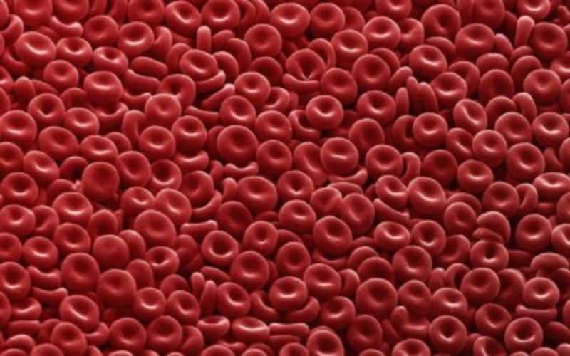 Австралійські вчені успішно виростили клітини штучної крові

