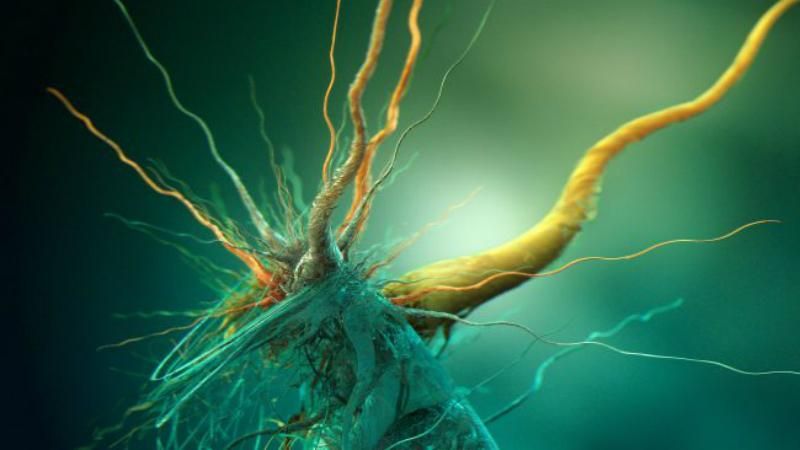 Знайдений в Антарктиді новий вид бактерій має неземне походження
Знайдений в Антарктиді новий вид бактерій має неземне походження