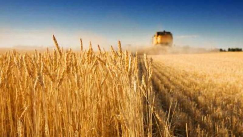Украина установила антирекорд в поставках агропродукции в ЕС