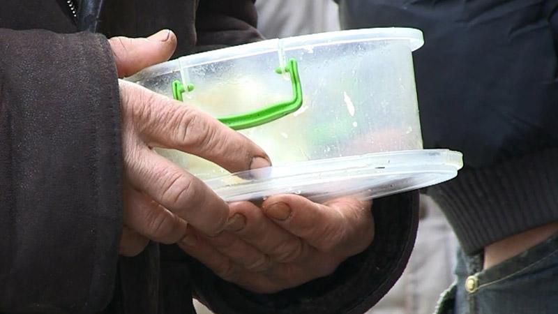 Херсонська родина рятує від голодної смерті десятки безпритульних Херсонська родина рятує від голодної смерті десятки безпритульних