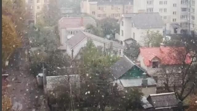 Снег засыпал Житомир: появились фото и видео