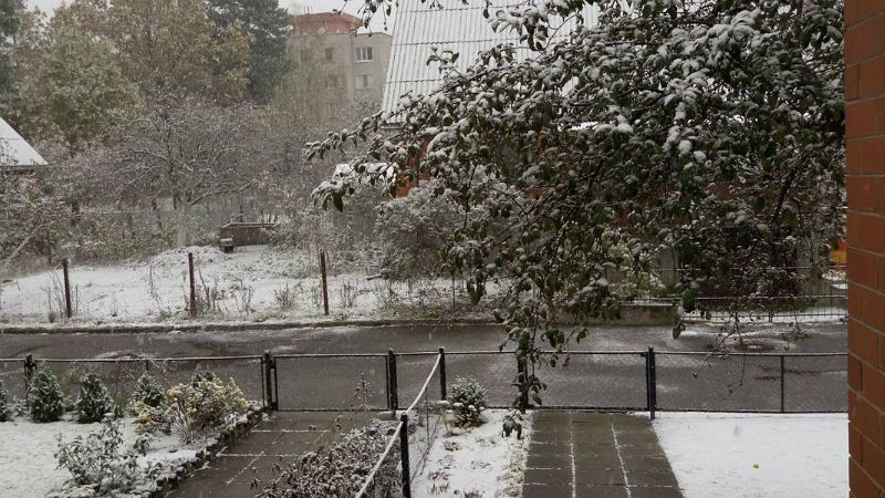 Первый снег выпал в Киевской области: появились фото и видео снегопада
