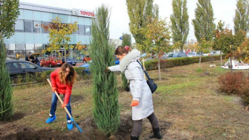 Эко-акция "Купил машину? Посади дерево!" Эко-акция "Купил машину? Посади дерево!"
