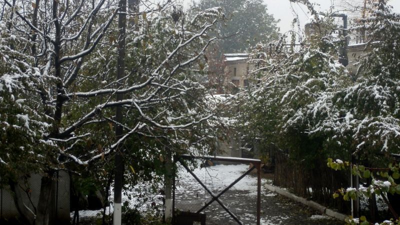 Перший сніг випав на Одещині