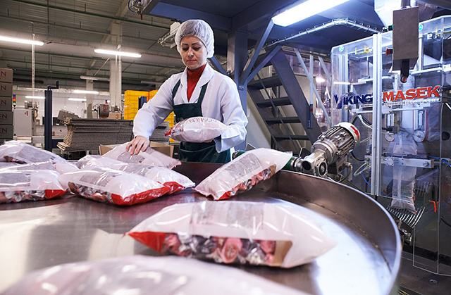 Путін розповів, як працює фабрика Порошенка в Росії Путін розповів, як працює фабрика Порошенка в Росії