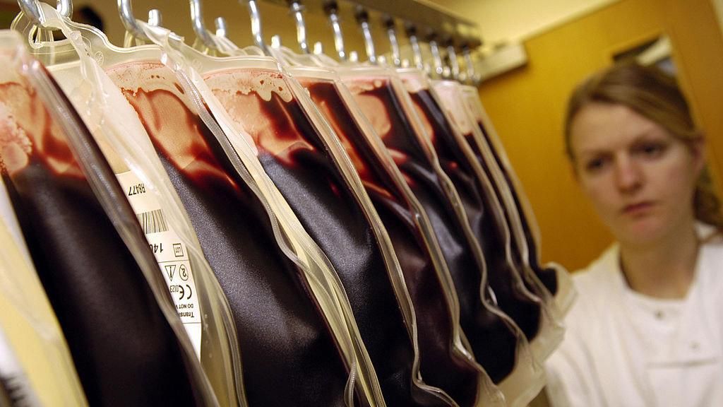 Десятки студентів здали на доброчинність кров Десятки студентів здали на доброчинність кров