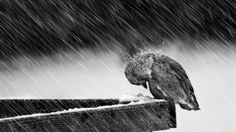 Синоптики попереджають українців про дуже неприємні вихідні Синоптики попереджають українців про дуже неприємні вихідні