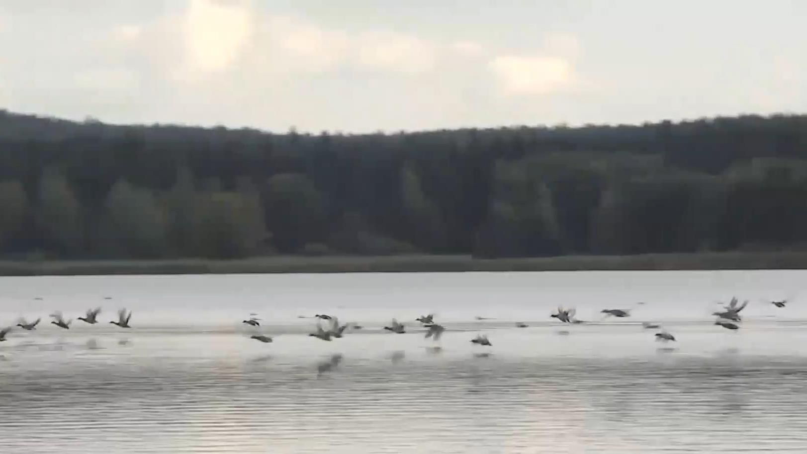 Як Чехія перетворила колишній військовий полігон на ландшафтний парк Як Чехія перетворила колишній військовий полігон на ландшафтний парк