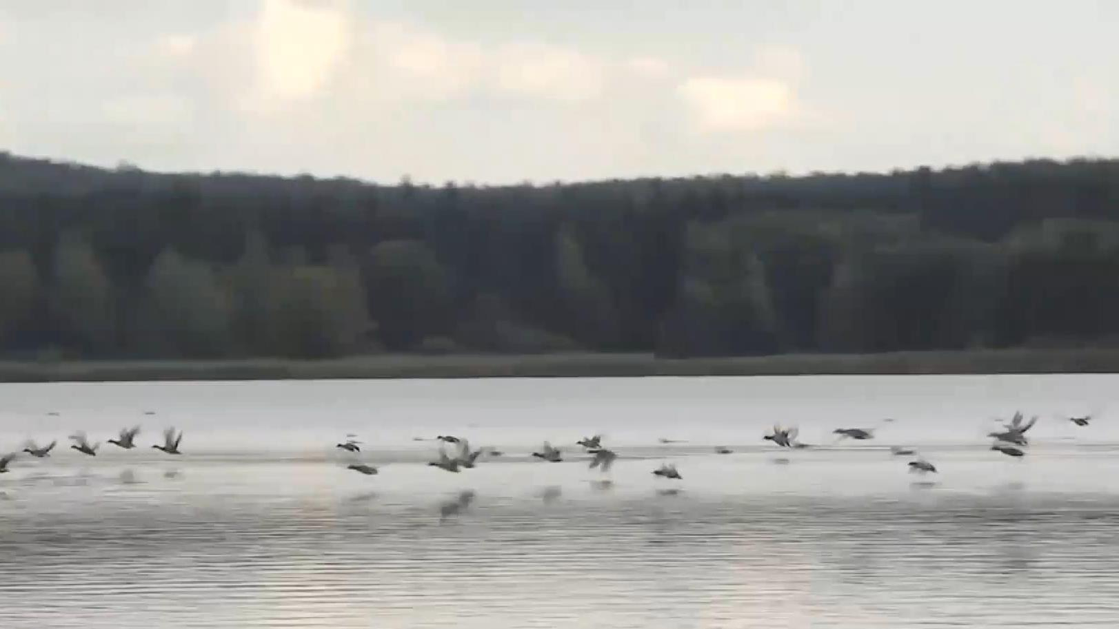 Как Чехия превратила бывший военный полигон в ландшафтный парк