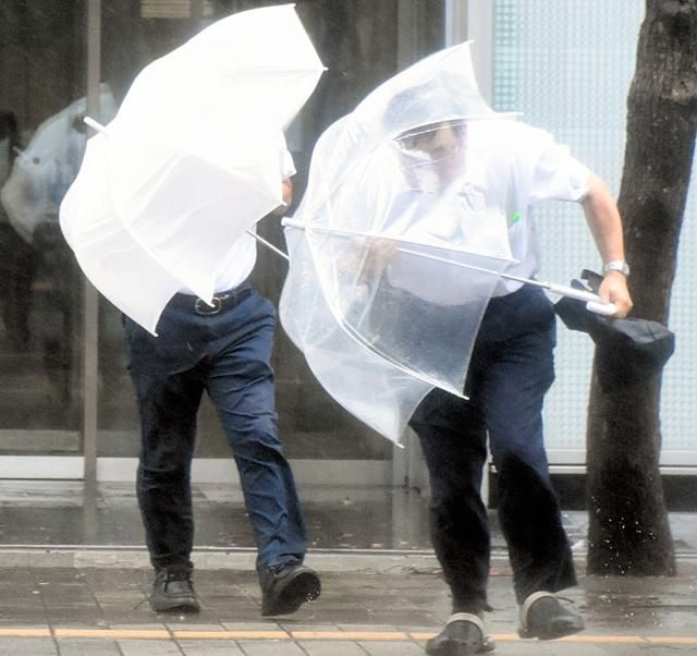 Мощный ветер будет гулять завтра по всей Украине Мощный ветер будет гулять завтра по всей Украине