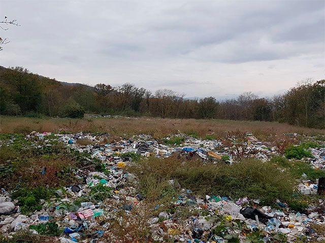 Крим потерпає від сміття: опублікували фото