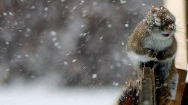 Що готує погода на початку тижня: прогнози синоптиків Що готує погода на початку тижня: прогнози синоптиків