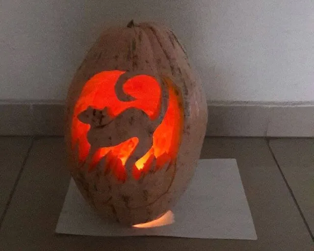 Ужгород, Хелловін, волонтери Ужгород, Хелловін, волонтери