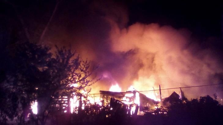 На острові Хортиця сталась масштабна пожежа: з'явились фото і відео