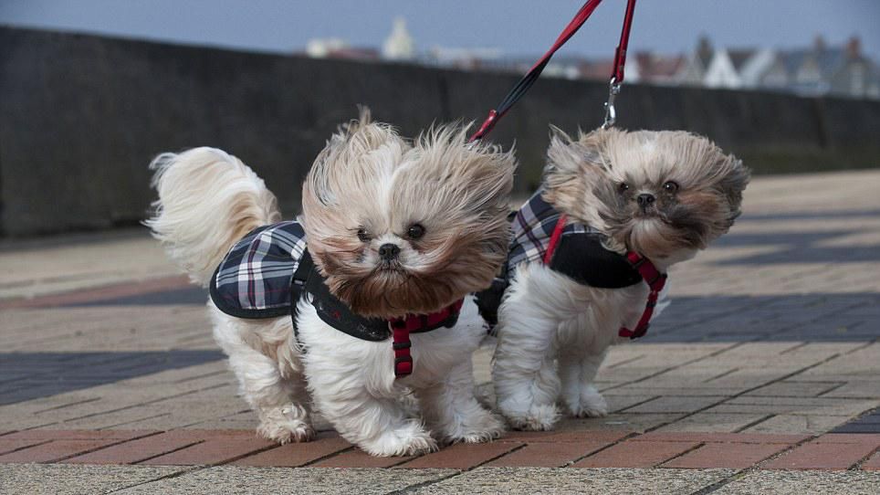 Метеорологи предупреждают о резком ухудшении погоды в Украине Метеорологи предупреждают о резком ухудшении погоды в Украине