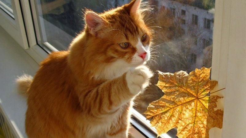 Синоптик обіцяє українцям "потужний стрибок тепла" Синоптик обіцяє українцям "потужний стрибок тепла"