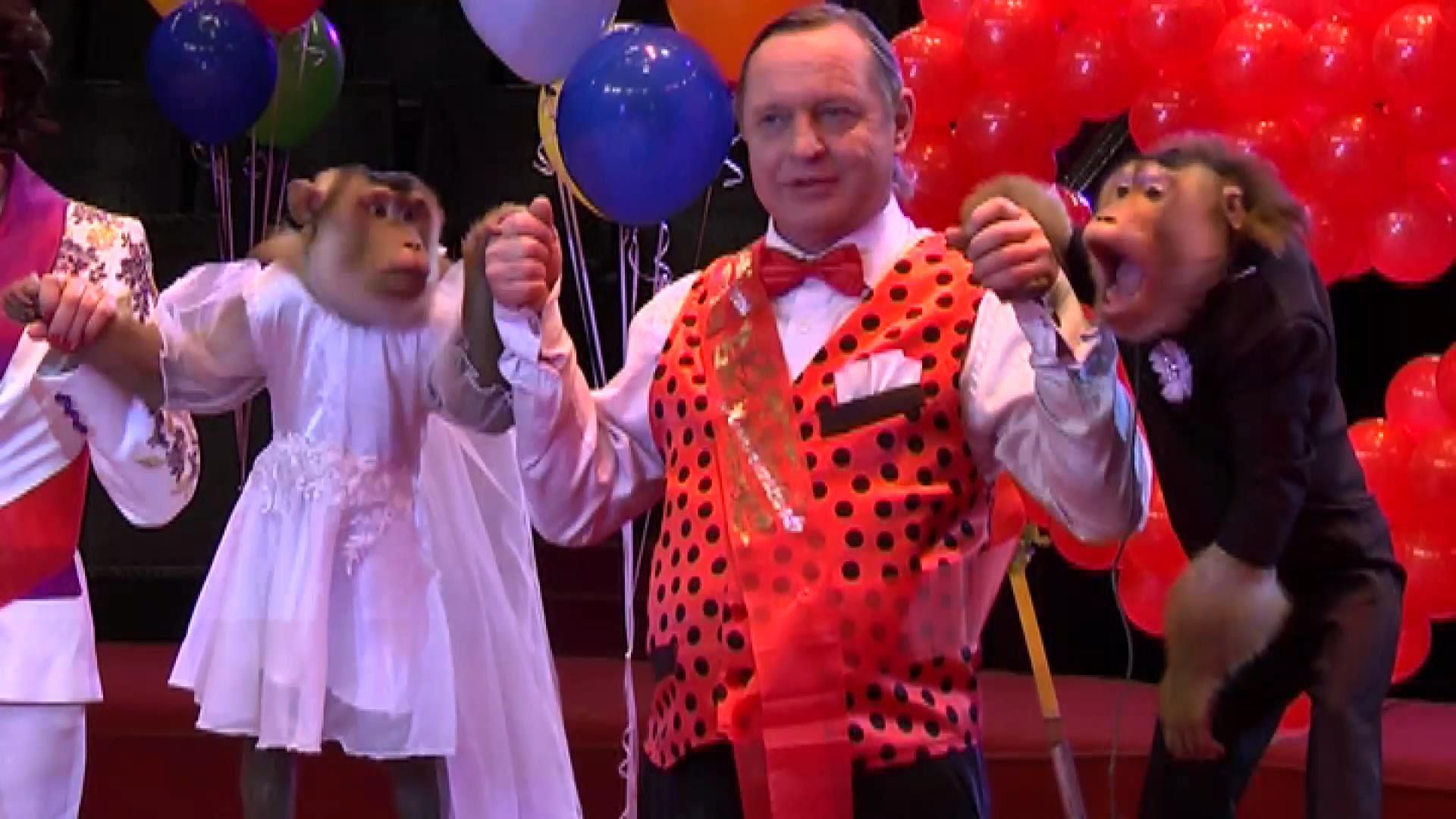 Необычная свадьба: в Украине поженились обезьяны Необычная свадьба: в Украине поженились обезьяны