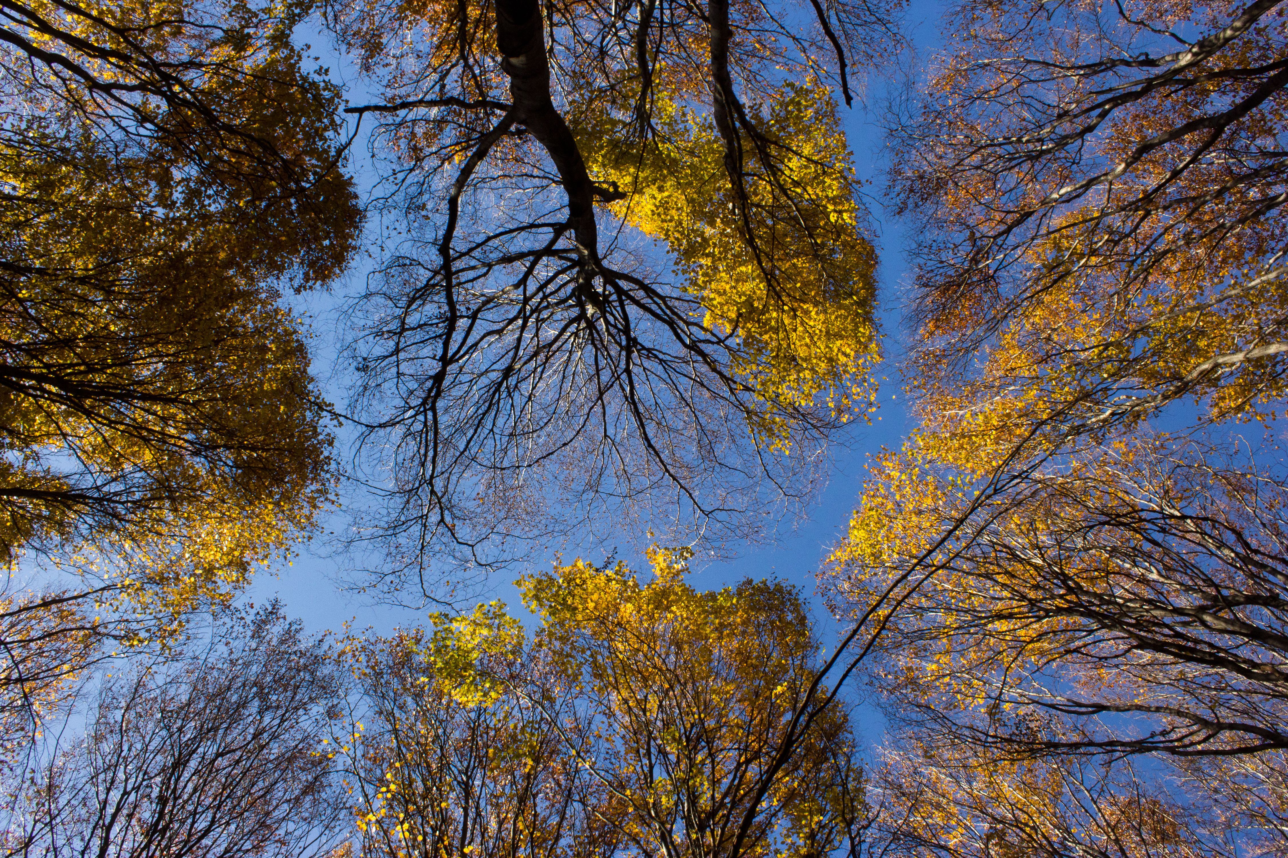 В Украине объявили штормовое предупреждение - 3 ноября 2016 - Телеканал новин 24 В Украине объявили штормовое предупреждение - 3 ноября 2016 - Телеканал новин 24