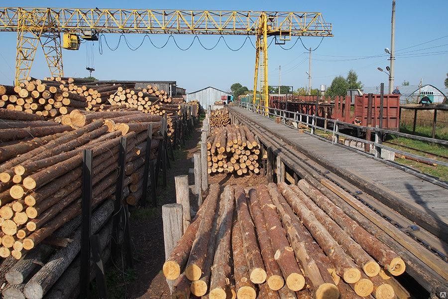 Правительство и парламент разрабатывают законопроект-альтернативу мораторию на экспорт украинской древесины, – Сотник