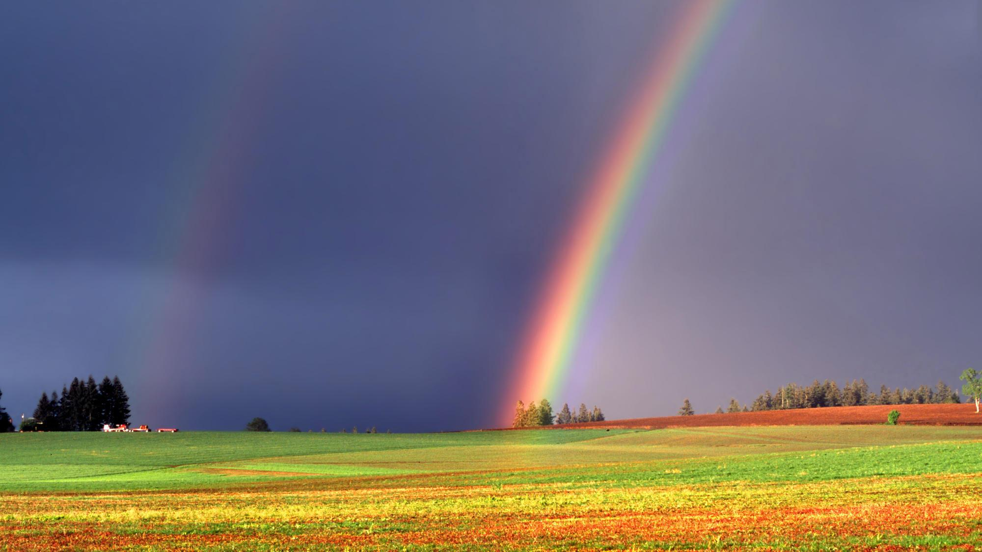 Над небоскребами в Майами показалась огромная радуга: удивительное видео