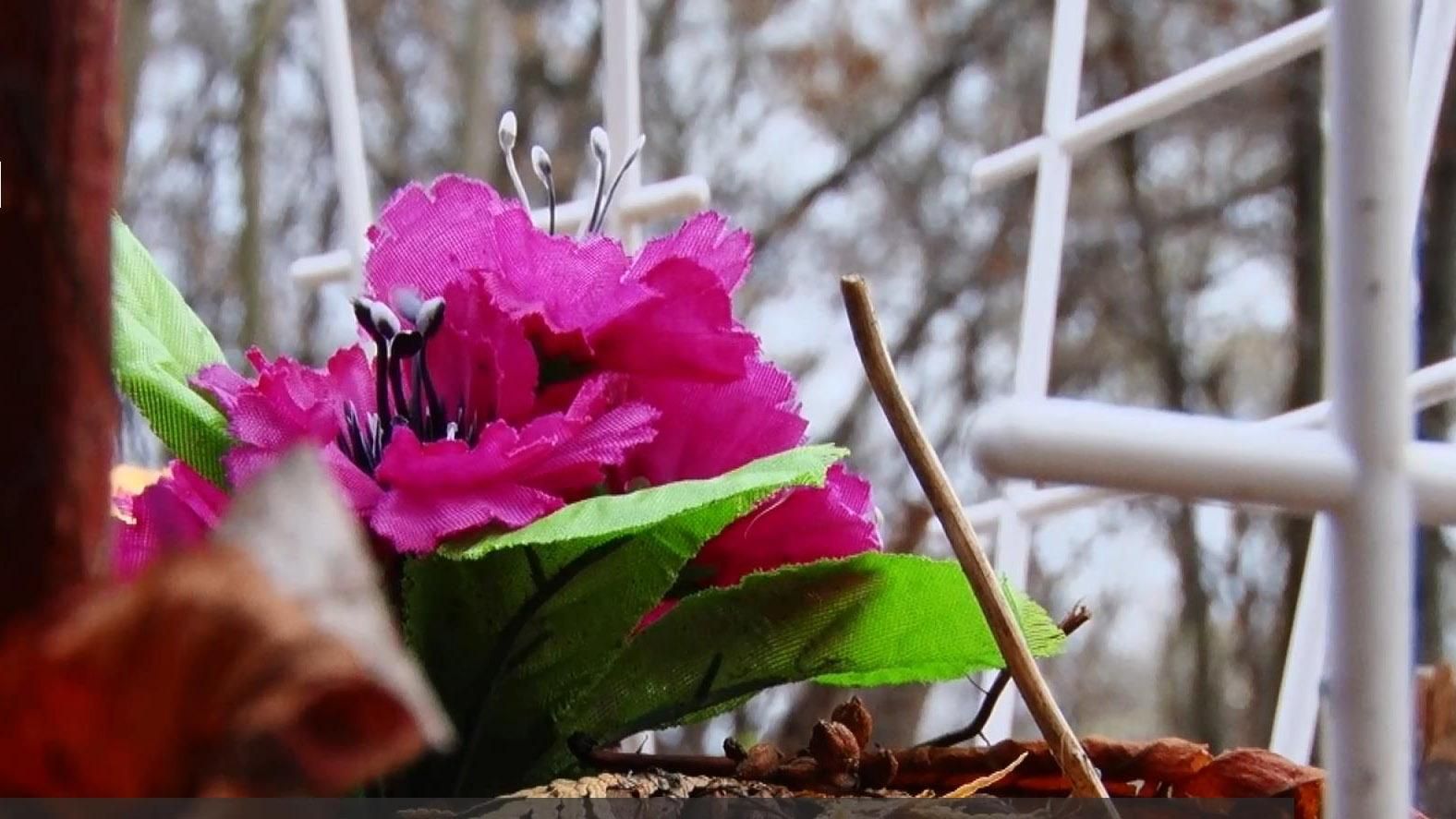 Незаконные похороны: в центре одного из одесских парков находится кладбище Незаконные похороны: в центре одного из одесских парков находится кладбище