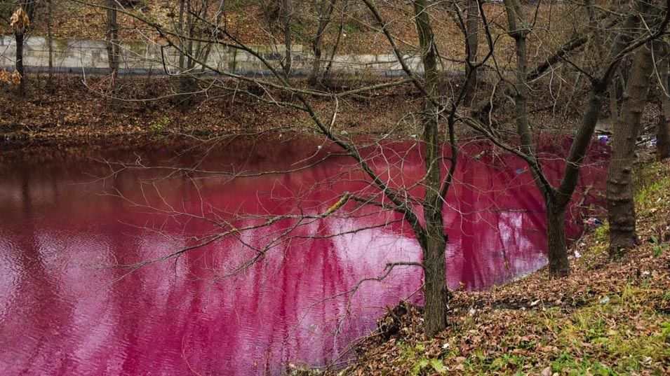 Озеро у Сумах стало моторошно червоним: опубліковано фото