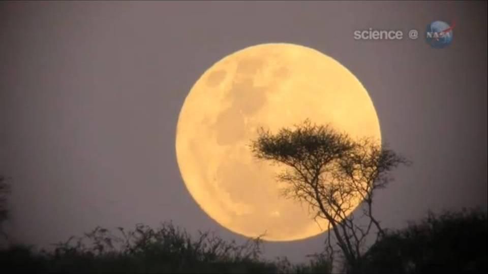 У NASA повідомили, коли можна буде побачити унікальний Супермісяць У NASA повідомили, коли можна буде побачити унікальний Супермісяць