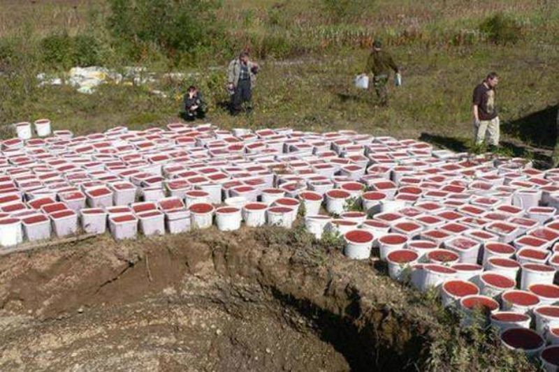 В Росії викрали 13 тонн червоної ікри через діру в огорожі
