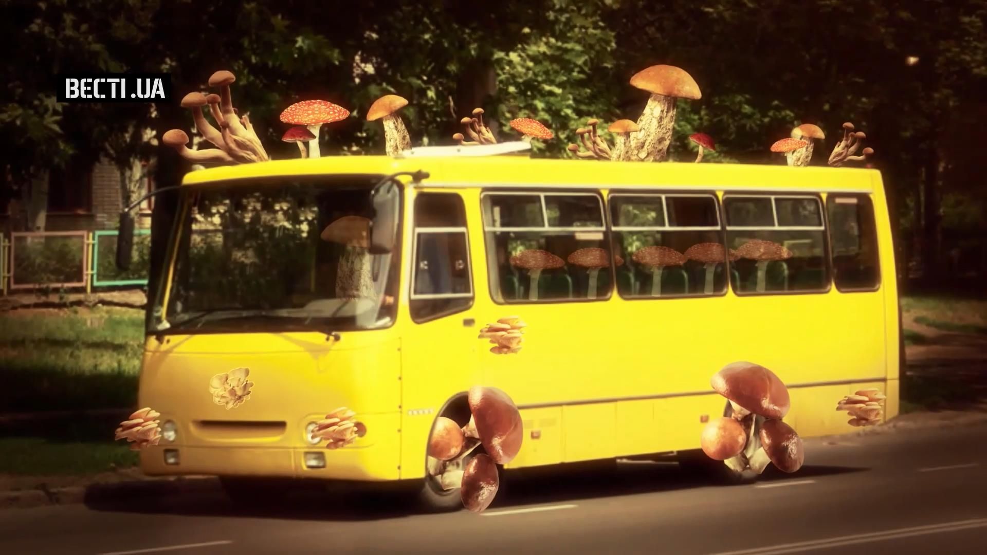 Необычный "экологичный" автобус курсирует по улицам Львова
