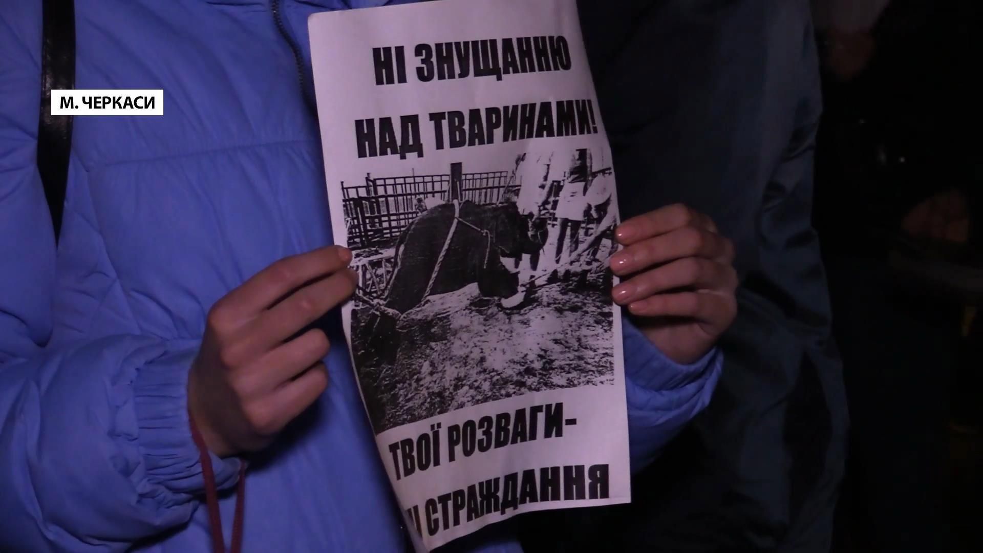 Черкасские зоозащитники протестуют против эксплуатации животных в цирках Черкасские зоозащитники протестуют против эксплуатации животных в цирках