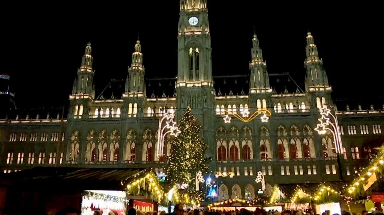 Гігантська різдвяна ялинка засяяла у центрі Відня