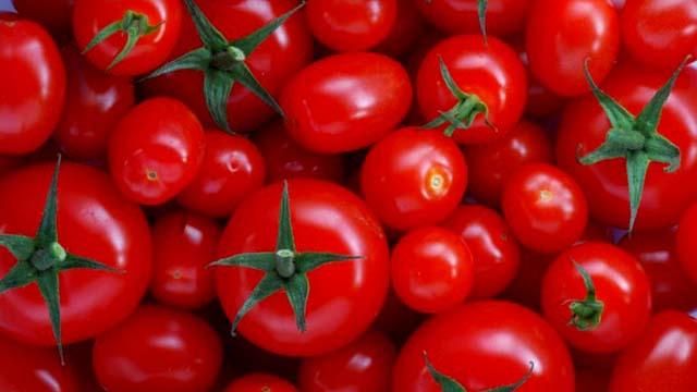 Тепер я бачив все, – Притула показав помідори за майже тисячу гривень за кілограм