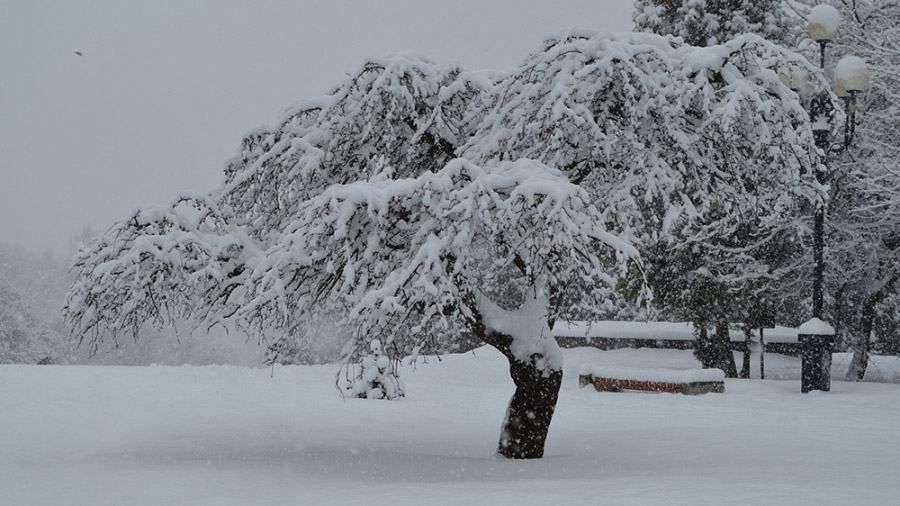 Як Україна бореться з наслідками снігопадів Як Україна бореться з наслідками снігопадів