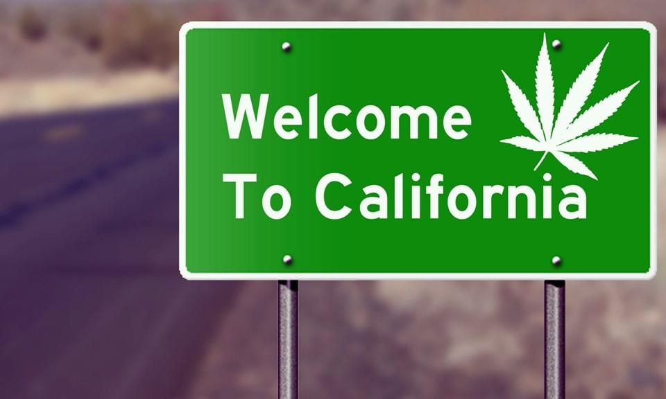 Власти Калифорнии хотят заработать на продаже марихуаны