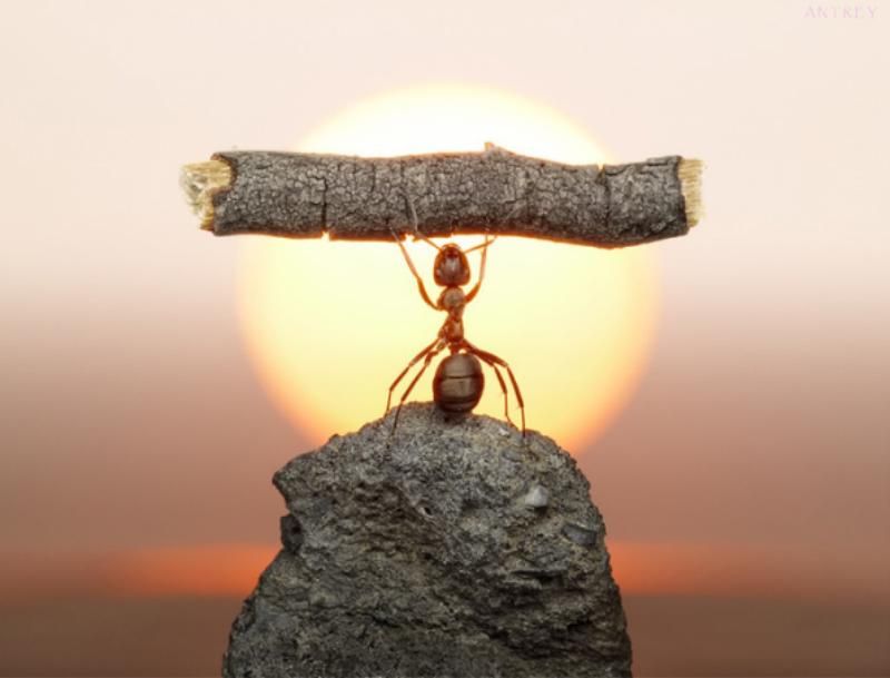 The Financial Times включила 5 украинцев в 100 лучших европейских инноваторов The Financial Times включила 5 украинцев в 100 лучших европейских инноваторов