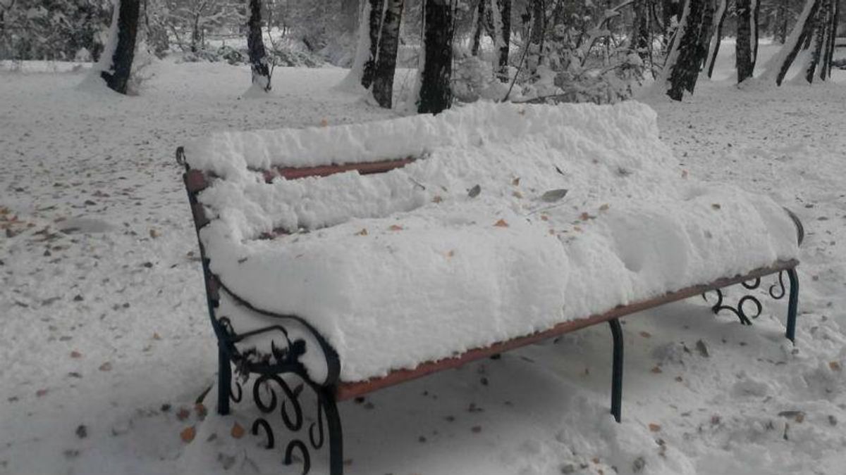 Мер Тернополя вибачився за неприбраний сніг і пообіцяв безкоштовний проїзд в транспорті Мер Тернополя вибачився за неприбраний сніг і пообіцяв безкоштовний проїзд в транспорті