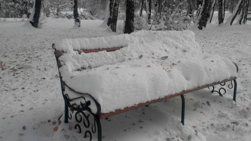Мер Тернополя вибачився за неприбраний сніг і пообіцяв безкоштовний проїзд в транспорті