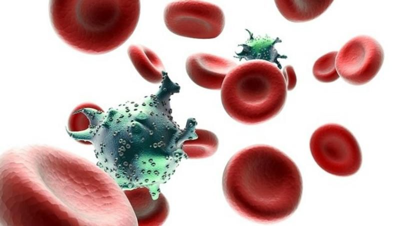 Вчені створили антитіла, які борються майже з усіма штамами ВІЛу