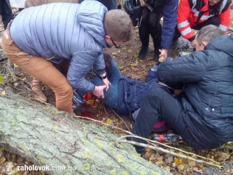В Ужгороді, через службову недбалість, дерево впало на дитину