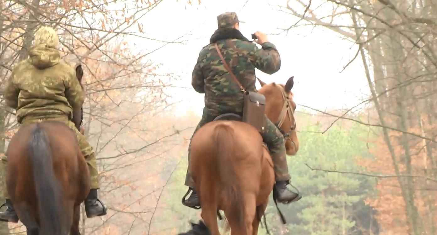 На Черкащині для збереження лісу залучили кінний патруль