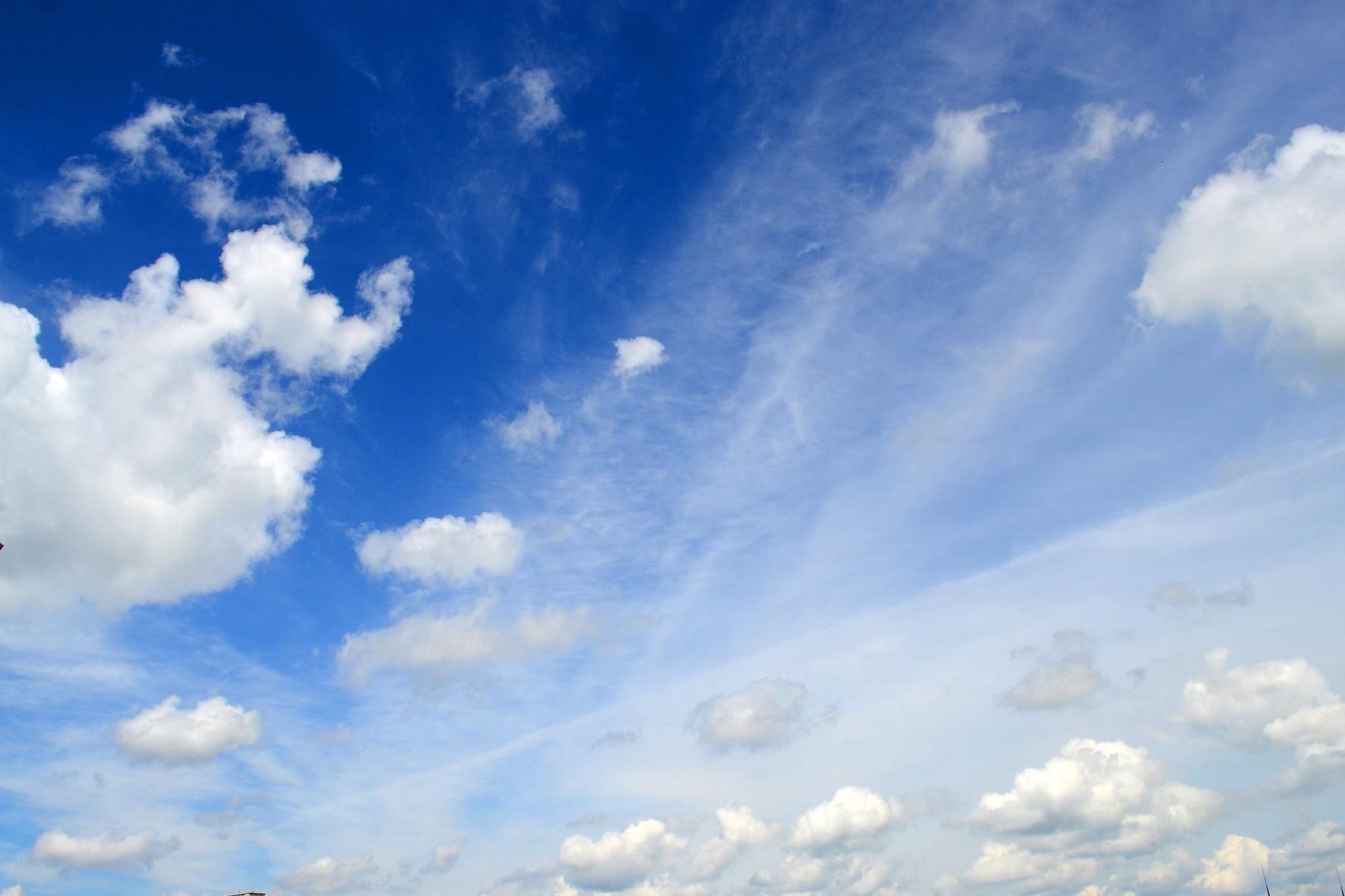 Синоптик рассказала, какой будет погода в День Свободы и Достоинства Синоптик рассказала, какой будет погода в День Свободы и Достоинства