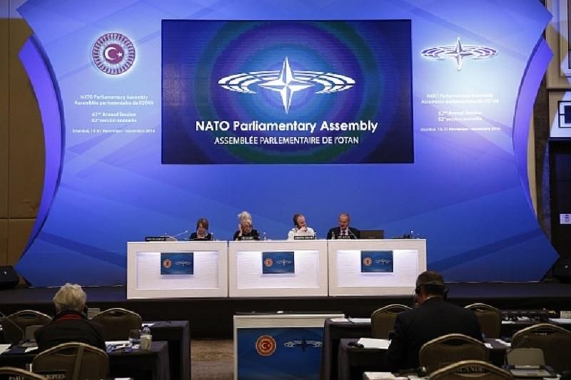 Агрессию России в ПА НАТО назвали главным фактором дестабилизации безопасности в мире, – Фриз Агрессию России в ПА НАТО назвали главным фактором дестабилизации безопасности в мире, – Фриз
