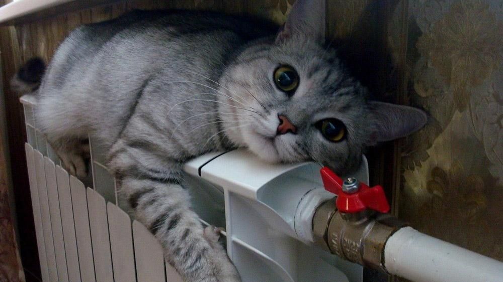 Черкащане получили космические платежки за тепло из-за халатности коммунальщиков Черкащане получили космические платежки за тепло из-за халатности коммунальщиков