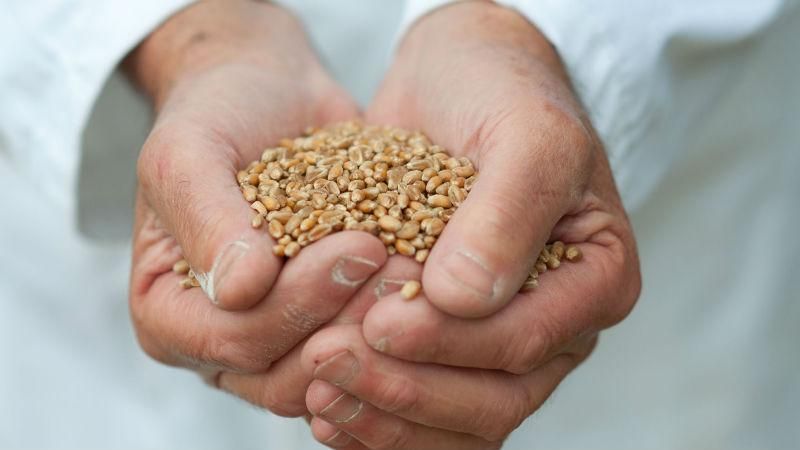 Кутовый сообщил, где скрываются виновники "китайского кредита" времен Януковича Кутовый сообщил, где скрываются виновники "китайского кредита" времен Януковича