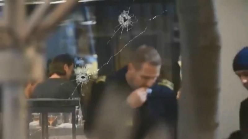 В торговом центре возле Копенгагена произошла стрельба
